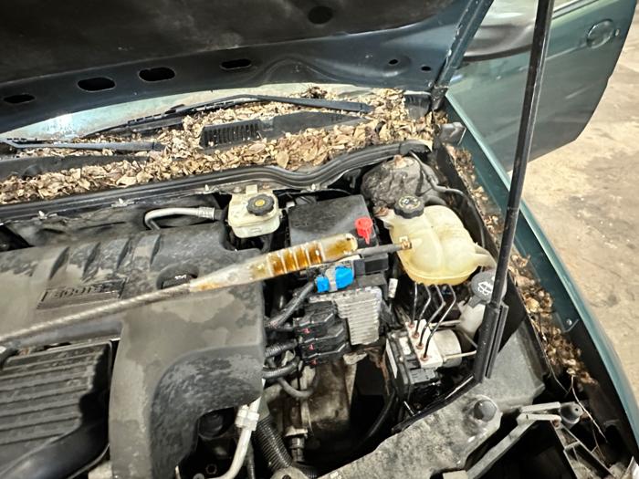 2007 saturn ion 2-sedan-automatic with 52310 miles for sale near elk-river, minnesota 2f9daa57ad2648bc9366c3e74fa01f22.jpeg