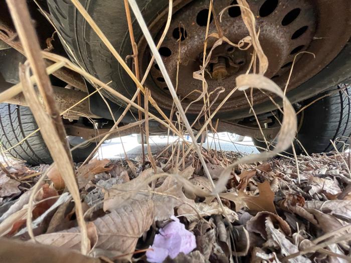 2009 ford explorer eddie-bauer-4.0l-4wd with 146444 miles for sale near brainerd, minnesota 30f22bc634bd42219dd0807fc2530c07.jpeg