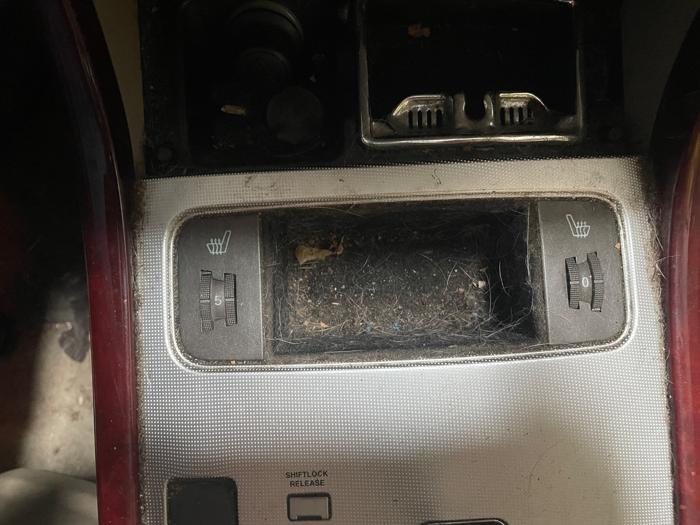 2007 hyundai azera limited with 170695 miles for sale near elk-river, minnesota 31204f59bf5041a6ae569b5148ddaf4c.jpeg