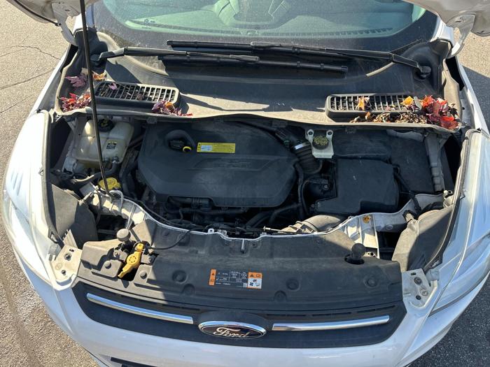 2013 ford escape se-4wd with 125724 miles for sale near elk-river, minnesota 31fb9a03f0124eaaa46094d4b4018d40.jpg