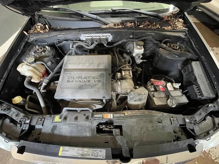 2011 Ford Escape