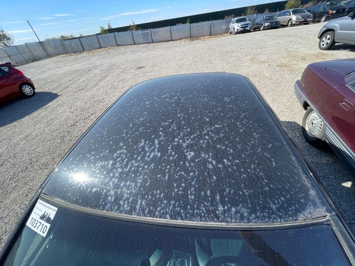 2001 toyota camry ce with 228216 miles for sale near elk-river, minnesota 32b2c869ec7e478b9ca422ed67ae9a25.jpeg
