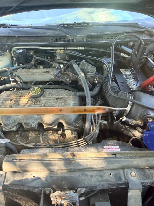 1999 ford escort lx with 115045 miles for sale near elk-river, minnesota 33e8384ded4c4f18b5a304fbde2eec28.jpeg