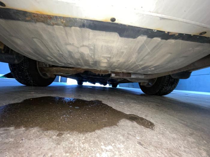 2006 honda odyssey ex with 231924 miles for sale near elk-river, minnesota 3750f86276c74de196aab3355200467b.jpeg