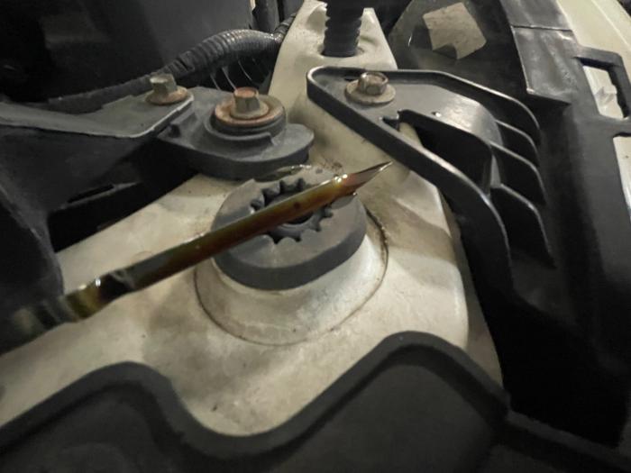 2009 ford focus se-sedan with 198044 miles for sale near elk-river, minnesota 38105430e8e34b86abe8be8ba4ed1c54.jpeg