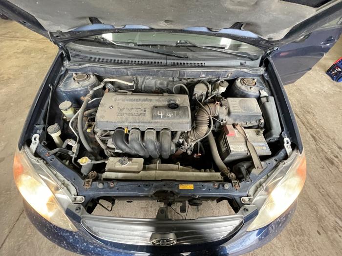 2004 toyota corolla ce with 242809 miles for sale near elk-river, minnesota 399da852c3e045c592174ff9e1873f4a.jpeg