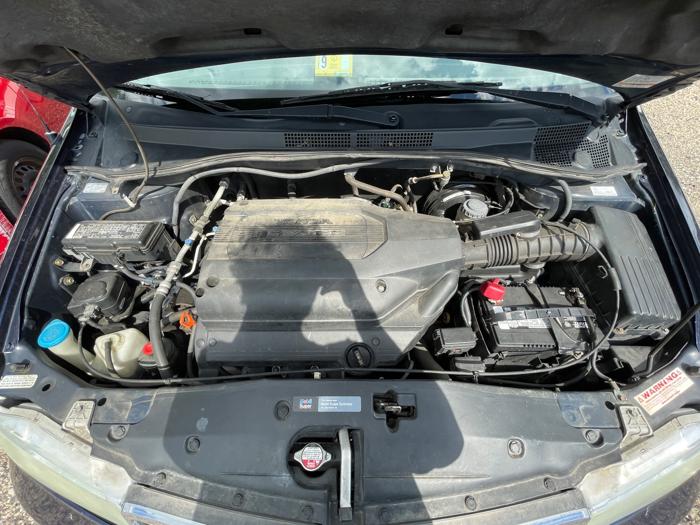 2004 honda odyssey ex-w--leather-and-navigation with 151032 miles for sale near elk-river, minnesota 39b4e339976a4591849559d3c10f646c.jpeg