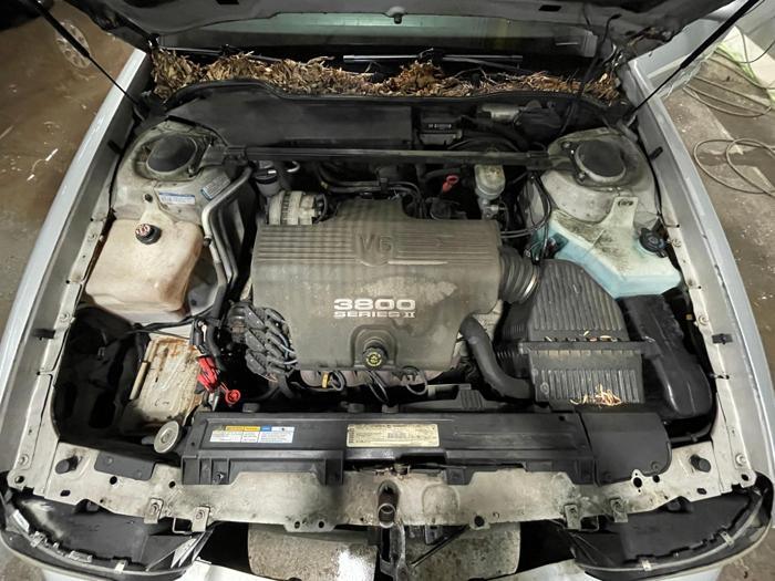 1999 buick lesabre limited with 123942 miles for sale near elk-river, minnesota 3a141e2c9a674a82b74bad51ce9d2f36.jpg
