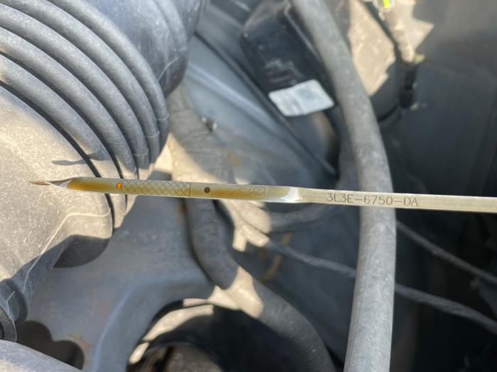2007 ford f-150 fx4-supercab with 158549 miles for sale near elk-river, minnesota 3f43d443c9994ee2a17651d53c138ec1.jpeg