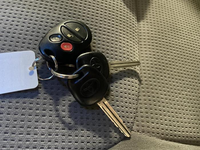 2004 Toyota Sienna