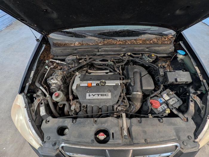 2006 honda cr-v ex-4wd-at with 112072 miles for sale near elk-river, minnesota 43ae1123d51e48fb88a44e06313c79a2.jpg