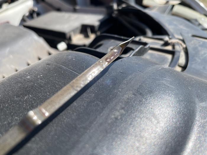 2010 dodge journey sxt with 134396 miles for sale near avon, minnesota 45a6ea7c328049fea2dea369153280fd.jpeg