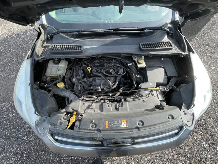 2013 ford escape sel-4wd with 146479 miles for sale near elk-river, minnesota 472aa79f675147738c34677565378042.jpeg