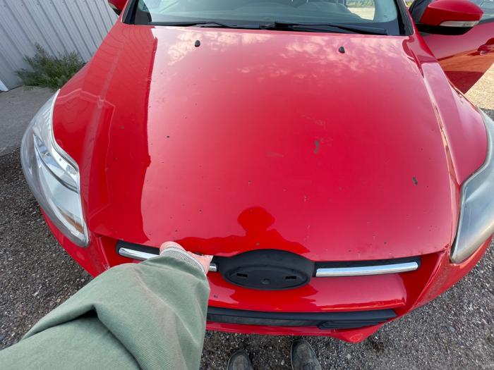 2013 ford focus se-sedan for sale near elk-river, minnesota 49fd4cd65ade45baa75b6c0e1de402ee.jpeg