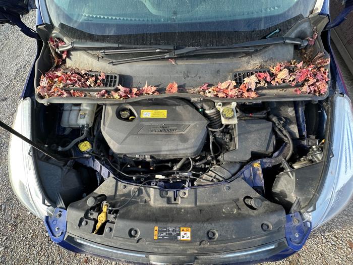 2013 ford escape se-fwd with 139247 miles for sale near elk-river, minnesota 4f9d5ca0f3474cdb8606e4d64d427eb4.jpeg