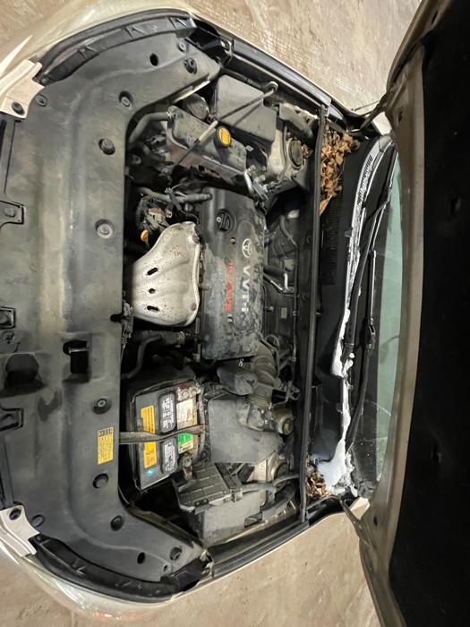 2006 toyota rav4 base-i4-4wd with 175445 miles for sale near elk-river, minnesota 51c72d89f811461b88459e7f735104aa.jpeg