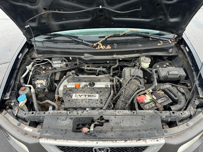 2004 honda element ex-4wd-at-w--front-side-airbags with 275162 miles for sale near elk-river, minnesota 542e749b228c458587796e1bc3661edb.jpg
