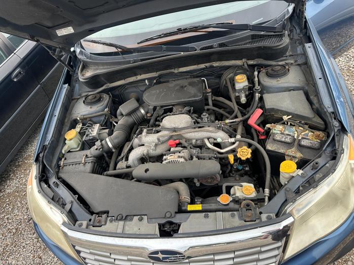 2010 subaru forester 2.5x-premium with 163209 miles for sale near elk-river, minnesota 57e6e9b9d11641f1a53eef0fa7bc359e.jpg
