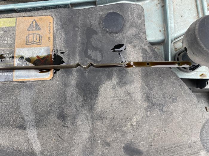 2012 ford focus se-sedan with 191692 miles for sale near rochester, minnesota 5934414184c740ddb97c0cb6ca82e862.jpeg