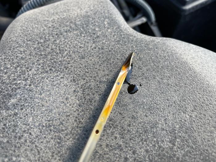 2009 toyota sienna ce-fwd-7-passenger with 318979 miles for sale near elk-river, minnesota 5de8af9e21f04a54a56e63a42c0c8095.jpeg