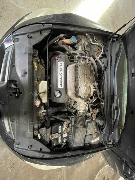 2004 honda accord ex-v6-sedan-at with 189894 miles for sale near elk-river, minnesota 5e0e58f55488426492caa09c33e6937a.jpeg