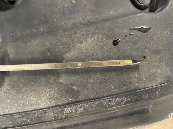 2008 scion xb wagon with 172269 miles for sale near elk-river, minnesota 5ff15b42b5b84b2bb3f9008f76a53cc5.jpeg