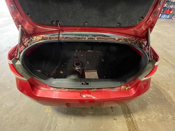 2010 ford focus se-sedan with 154025 miles for sale near elk-river, minnesota 6059f013d7cf4bd6b445eb21d0cd777b.jpeg