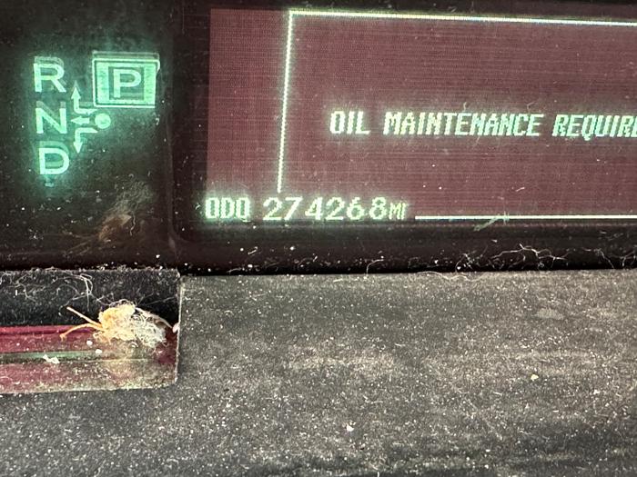 2010 toyota prius prius-ii with 264268 miles for sale near elk-river, minnesota 615de2a24f2d48d0a63a80d39c1e29c2.jpeg