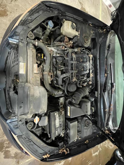 2006 hyundai sonata with 220404 miles for sale near elk-river, minnesota 6574c83b013c4ba6a8b840c920265578.jpg