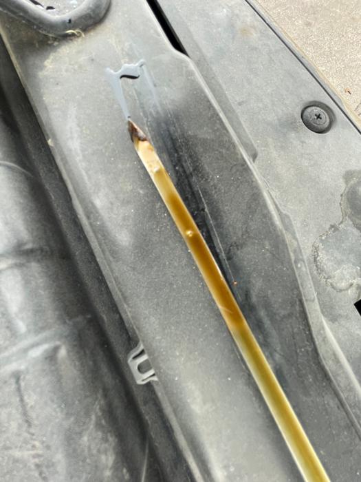 2008 hyundai tiburon gs with 75687 miles for sale near elk-river, minnesota 65b447f575a745e799ab38426d368630.jpeg