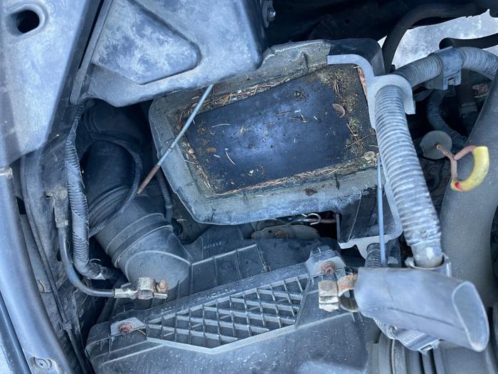 2003 honda accord ex with 200610 miles for sale near elk-river, minnesota 66be680a15a34b63a1d6552232b0f008.jpeg