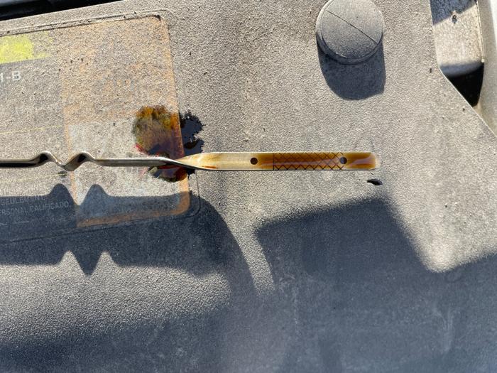 2012 ford focus se with 199483 miles for sale near burnsville, minnesota 689bd86d677d4d62b5a5685db1e9d10e.jpeg