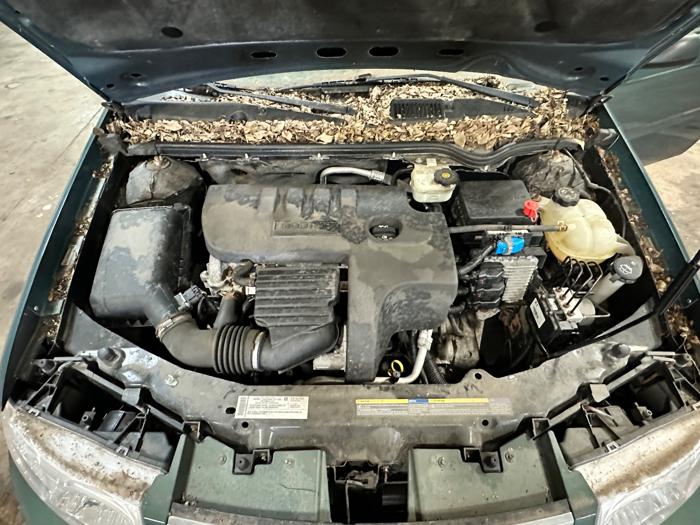 2007 saturn ion 2-sedan-automatic with 52310 miles for sale near elk-river, minnesota 692d813650ee4ac692c56bfe442287f4.jpeg