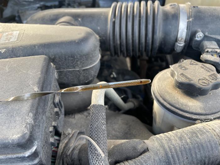 2009 ford f-150 stx-supercab-6.5-ft.-bed-4wd with 174048 miles for sale near fridley, minnesota 6be0b82db9a84ecdaf3b18b306403891.jpeg