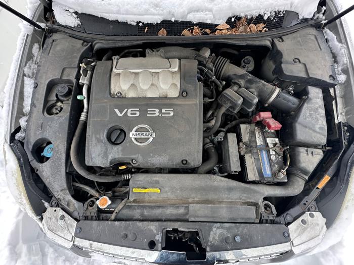 2005 nissan maxima se with 144068 miles for sale near elk-river, minnesota 6cb21aa5ff2349109c48ab49205a632e.jpeg