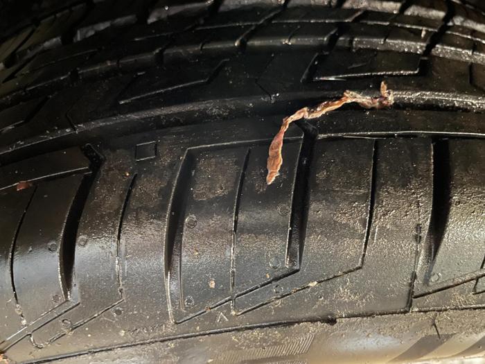 2007 Subaru Forester