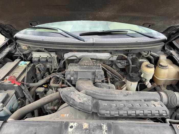 2007 ford f-150 fx4-supercrew for sale near elk-river, minnesota 72cff426bcb54af6be4e791c35679cc7.jpg