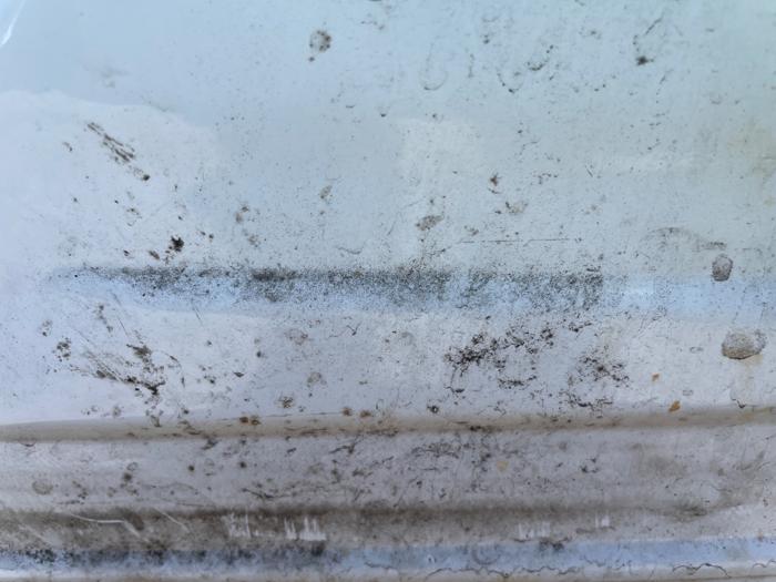 2009 pontiac g6 sedan with 186519 miles for sale near st.-cloud, minnesota 7322abec1d7442979b948fa23df84c2b.jpeg