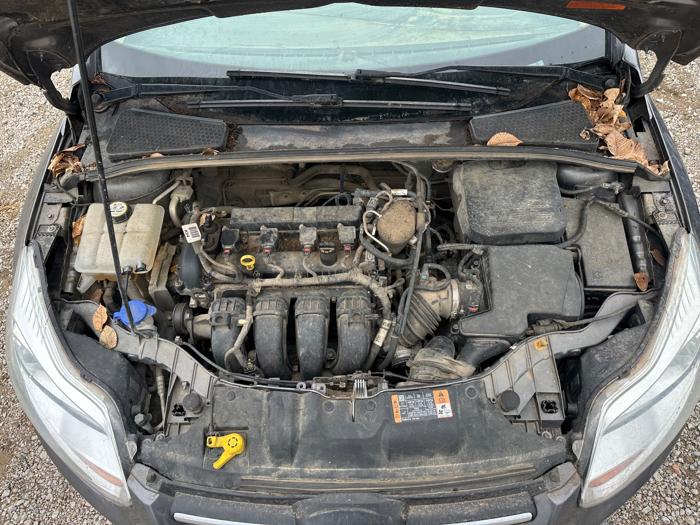 2014 ford focus se-hatch for sale near elk-river, minnesota 73299695194f4a55806ed47e7afcd6d0.jpeg