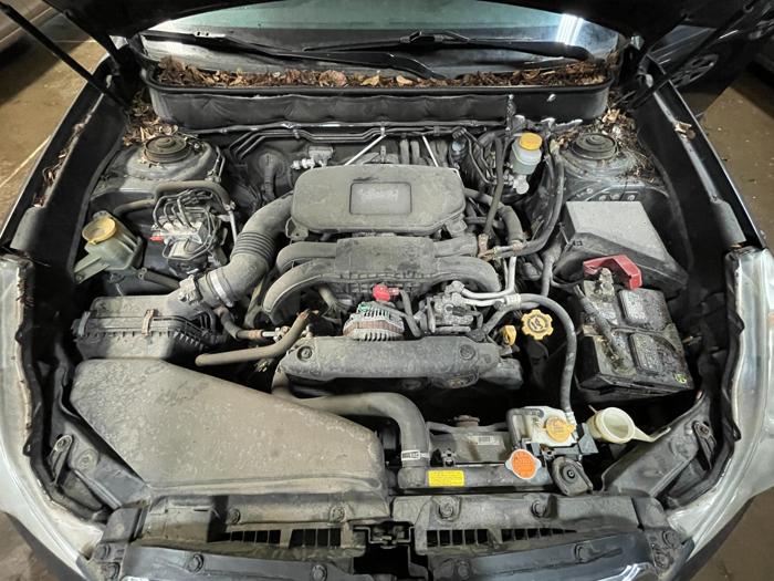 2010 Subaru Outback