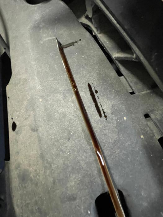 2005 chevrolet impala ls with 150906 miles for sale near elk-river, minnesota 7492edd751d94f09b107a41facdc376f.jpeg