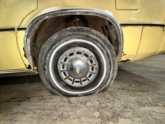 1980 chevrolet citation - with 65899 miles for sale near elk-river, minnesota 74d31454dc6341379edc368cb665d969.jpeg