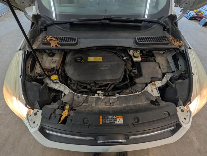 2013 ford escape se-fwd with 160475 miles for sale near elk-river, minnesota 7c225737ff414534a8e753ca9c8637f8.jpg