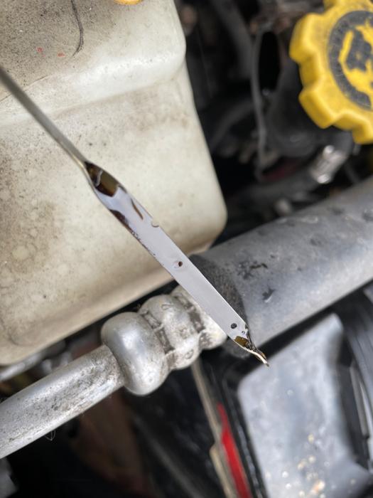 2003 subaru forester 2.5-x with 196538 miles for sale near elk-river, minnesota 7c8334c9fe894bcbbd9f03fd154334d3.jpeg