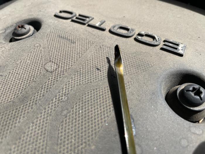 2017 chevrolet malibu premier with 171100 miles for sale near alexandria, minnesota 7e5334aa4dd8454c9966e70b1a04c6e5.jpeg