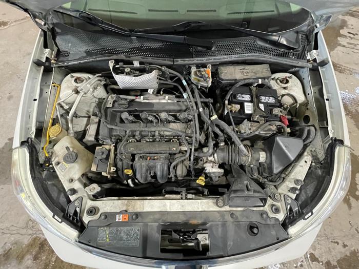2010 ford focus sel with 182276 miles for sale near elk-river, minnesota 7f580d1f33204e8d9e839a243c6844c9.jpg