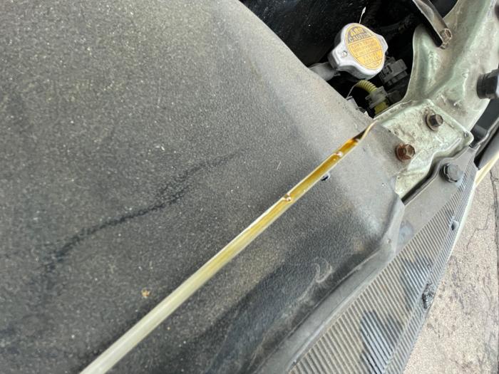 2009 toyota sienna ce-fwd-7-passenger with 176555 miles for sale near elk-river, minnesota 83ed7994daba42cd8f1e1ecf5452be89.jpeg