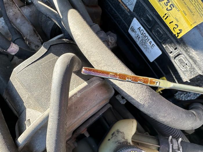 1995 ford escort gt with 132436 miles for sale near elk-river, minnesota 8977d851750c4a6f9df593a9e3ec277a.jpeg