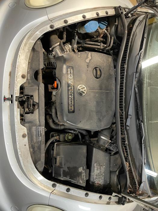 2005 Volkswagen Beetle
