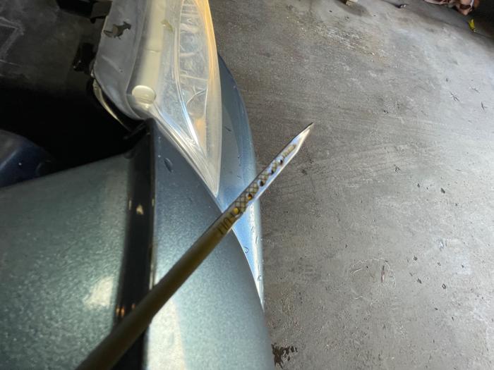 2002 buick lesabre limited with 152563 miles for sale near elk-river, minnesota 8c0d6d3c588546a4b8d040a7d93dc9bd.jpeg